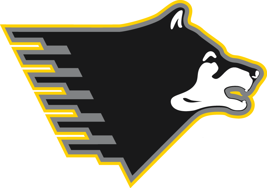 Michigan Tech Huskies 2005-Pres Partial Logo diy fabric transfer